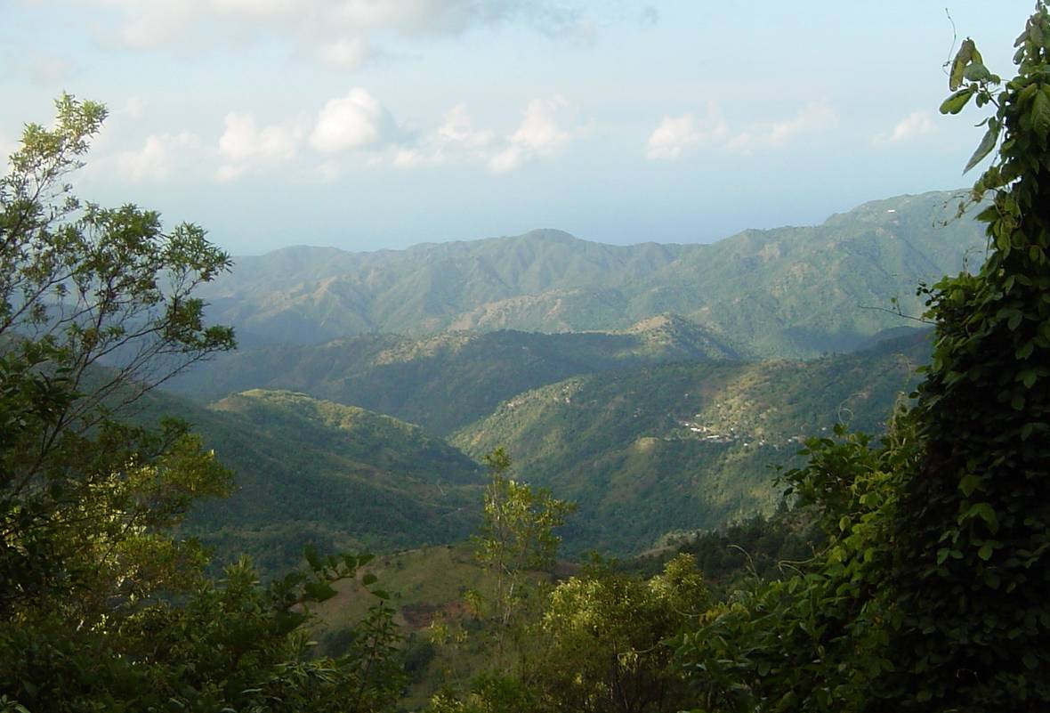 Jamaica mountains